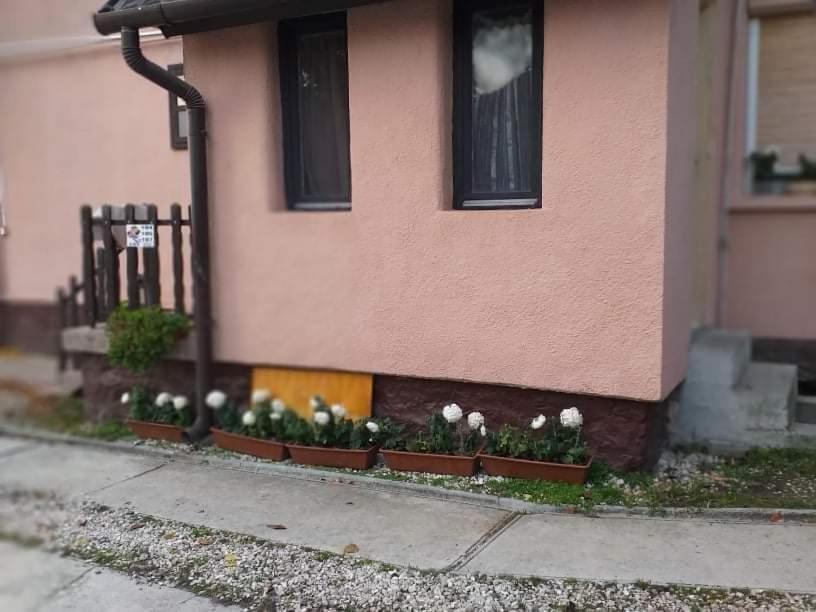 Pihenes A Malomtonal Privat Berlemeny Tapolca